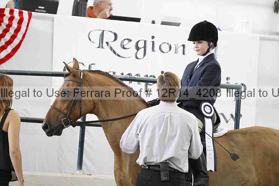Proof Number 12r14_4208
