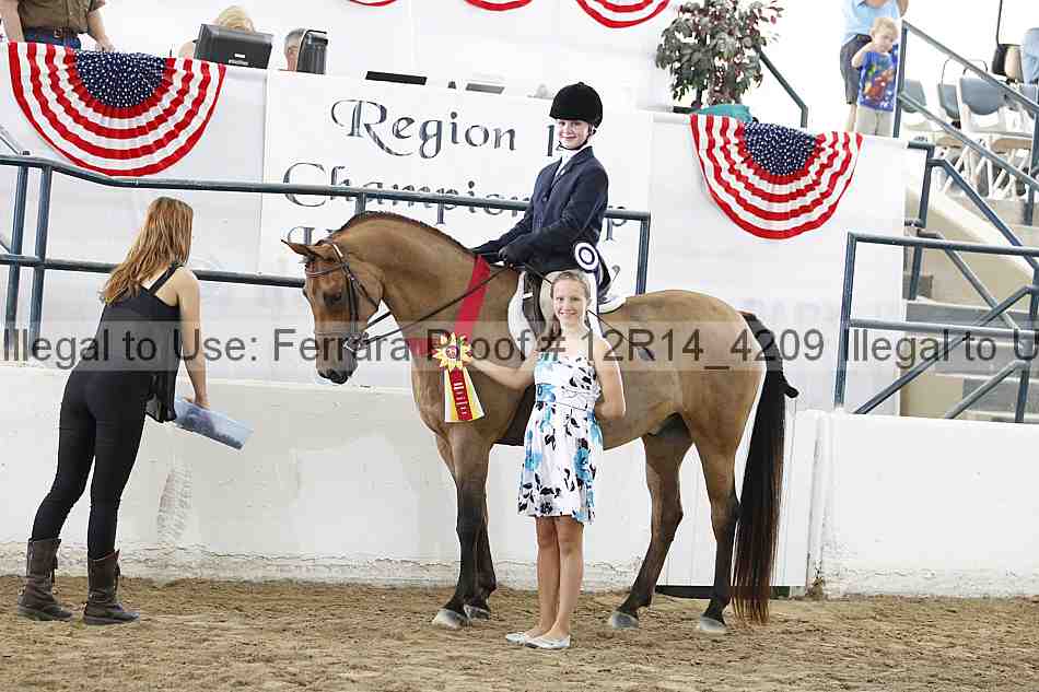 Proof Number 12r14_4209