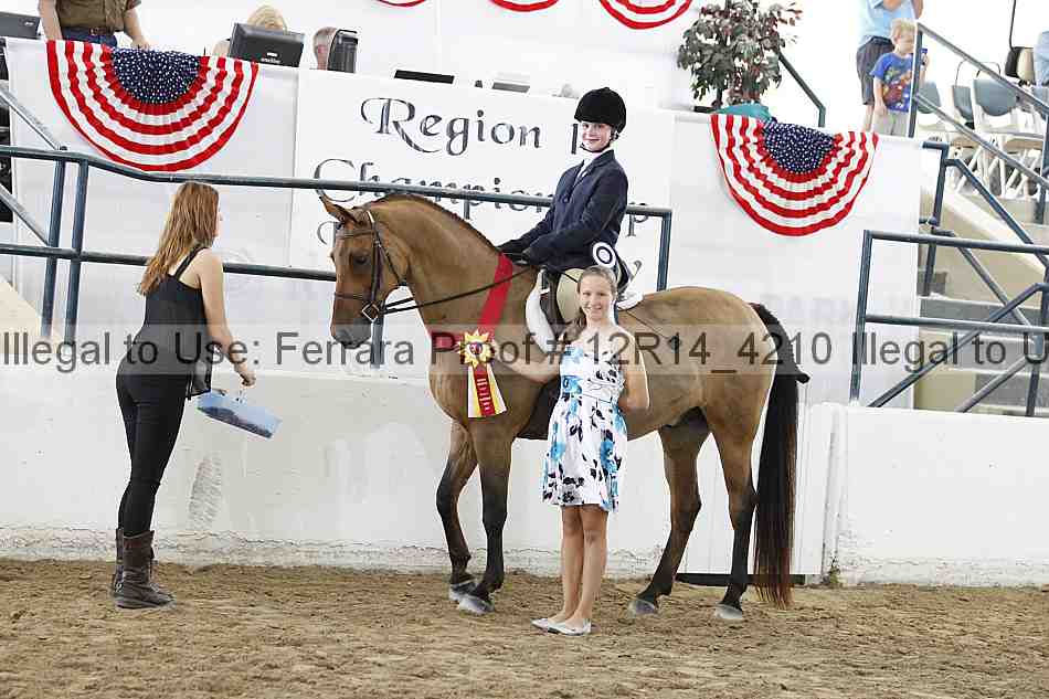 Proof Number 12r14_4210