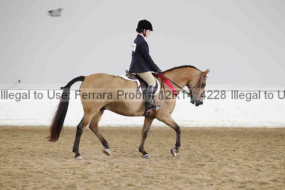 Proof Number 12r14_4228