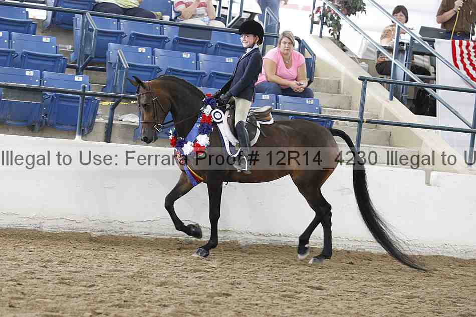 Proof Number 12r14_4230