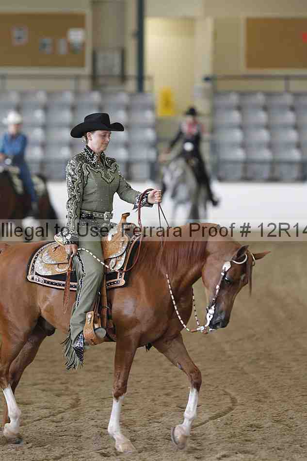Proof Number 12r14_4254