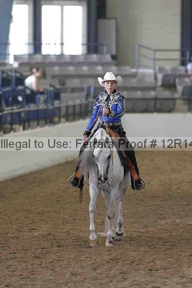 Proof Number 12r14_4256