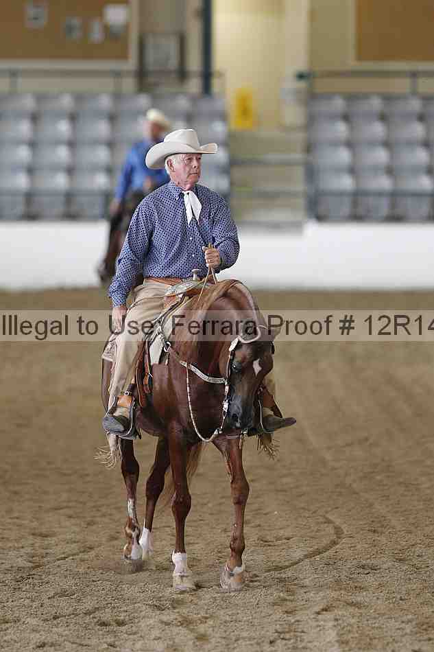 Proof Number 12r14_4262