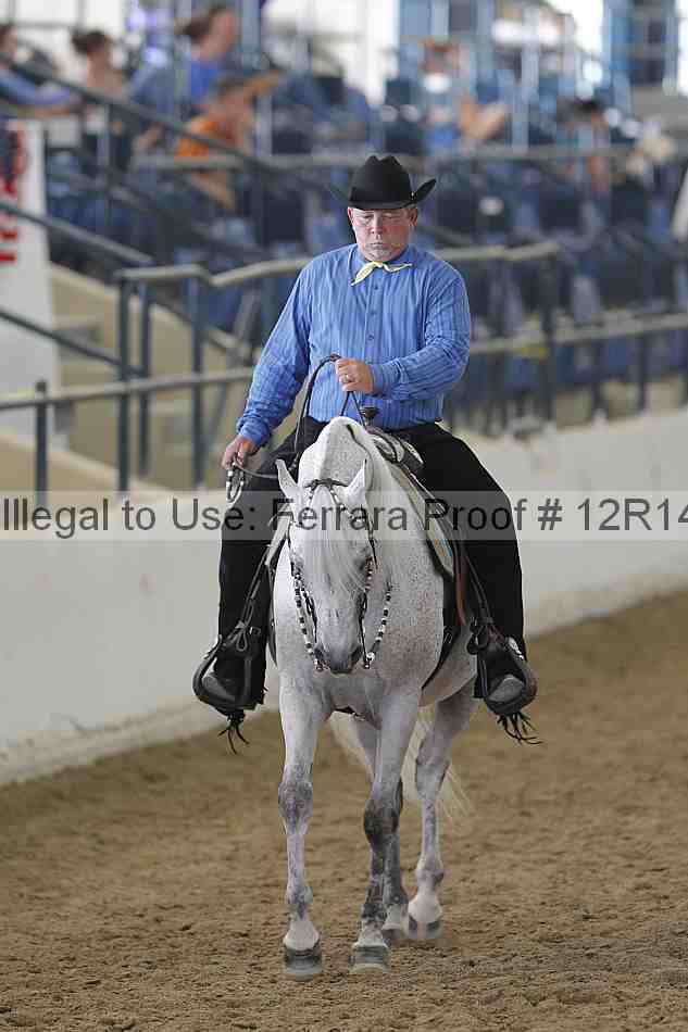 Proof Number 12r14_4265