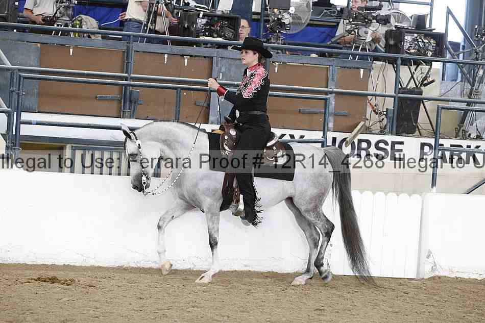Proof Number 12r14_4268