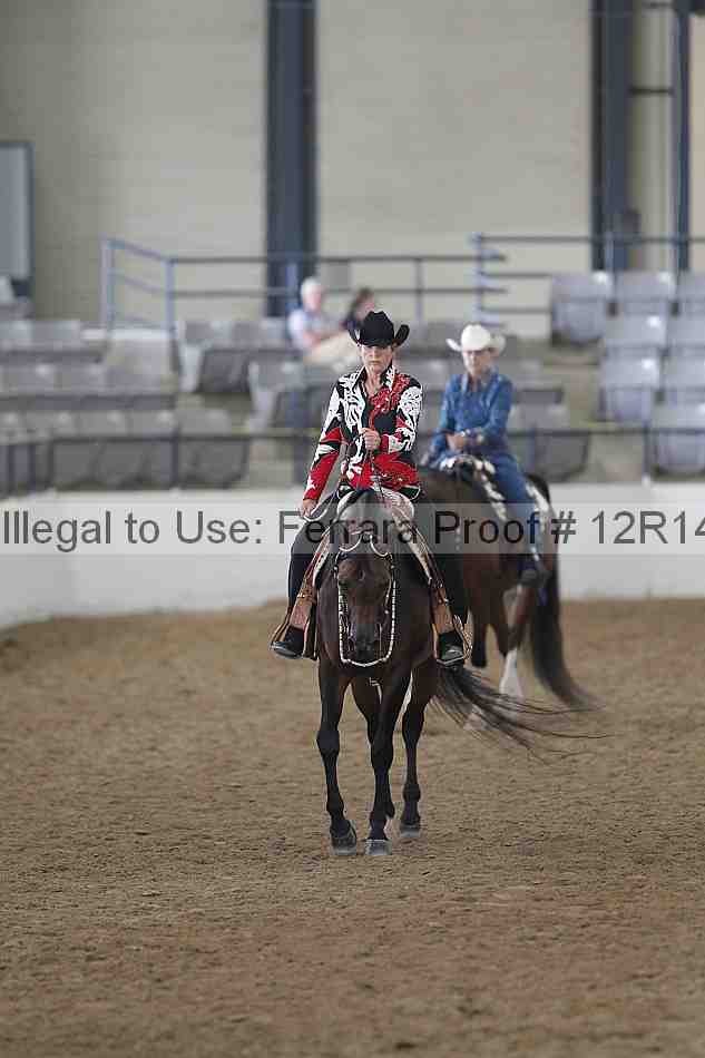 Proof Number 12r14_4273