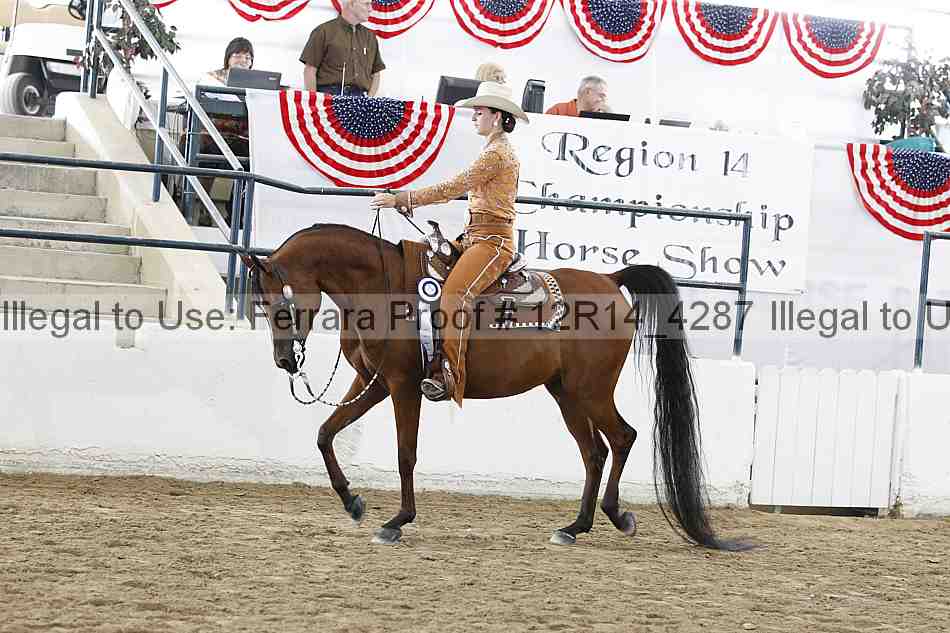 Proof Number 12r14_4287