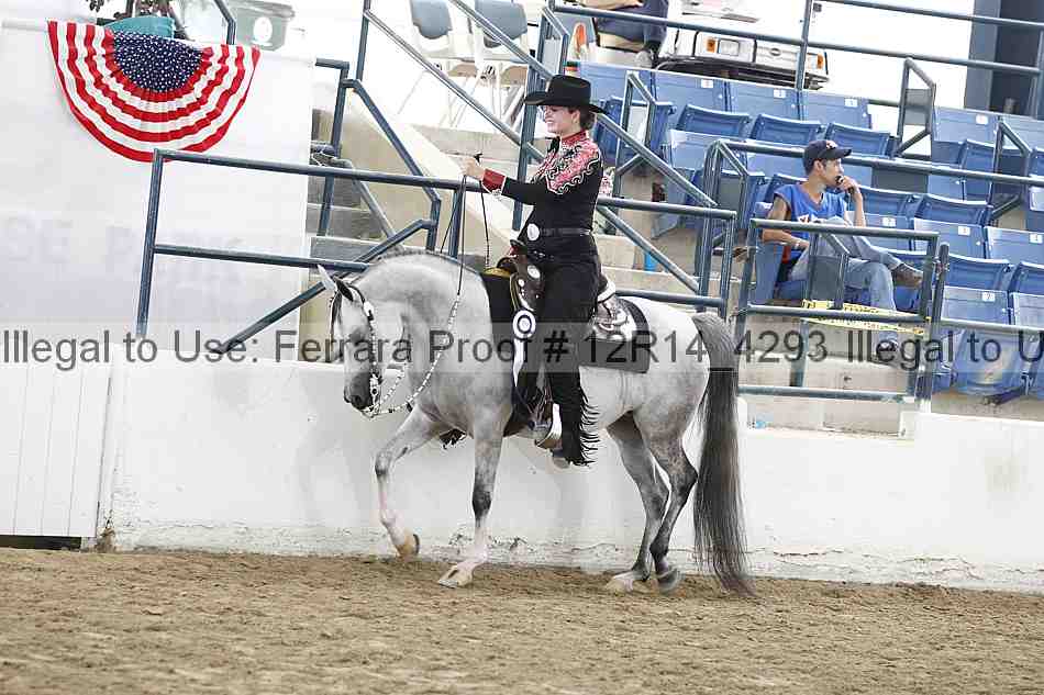 Proof Number 12r14_4293