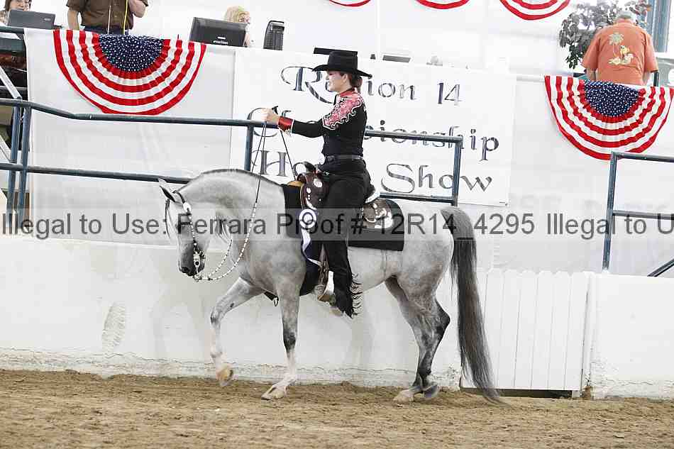 Proof Number 12r14_4295