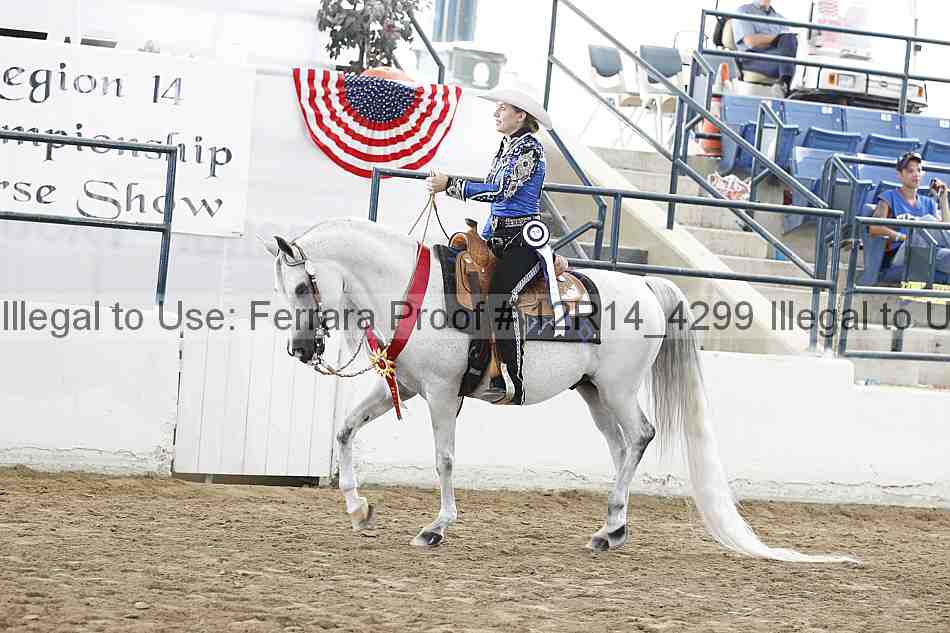 Proof Number 12r14_4299