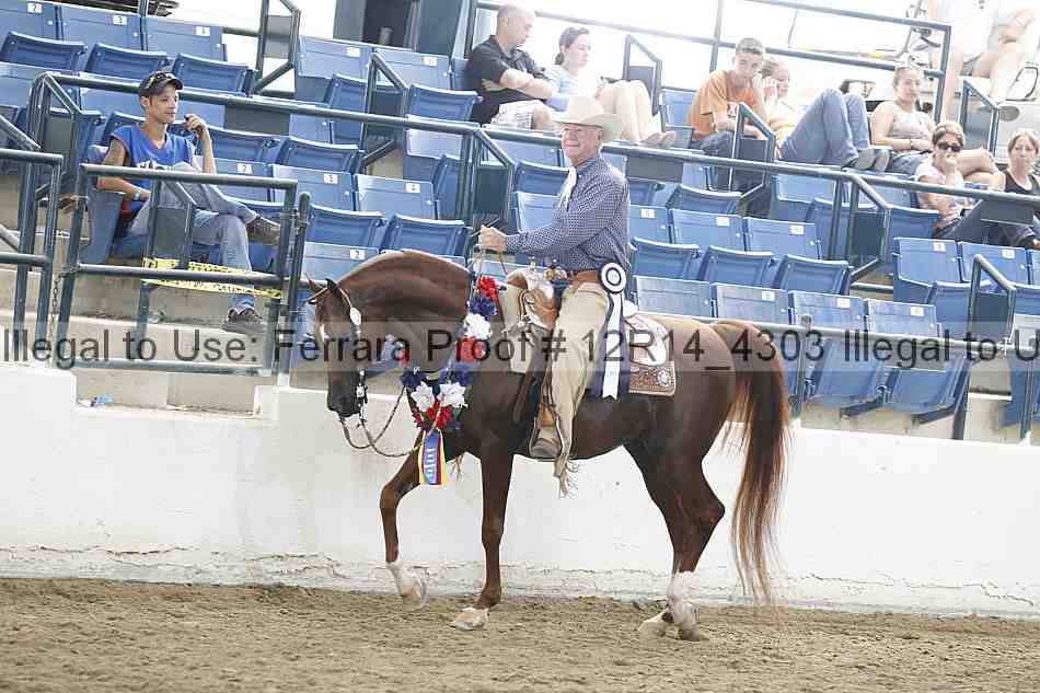 Proof Number 12r14_4303