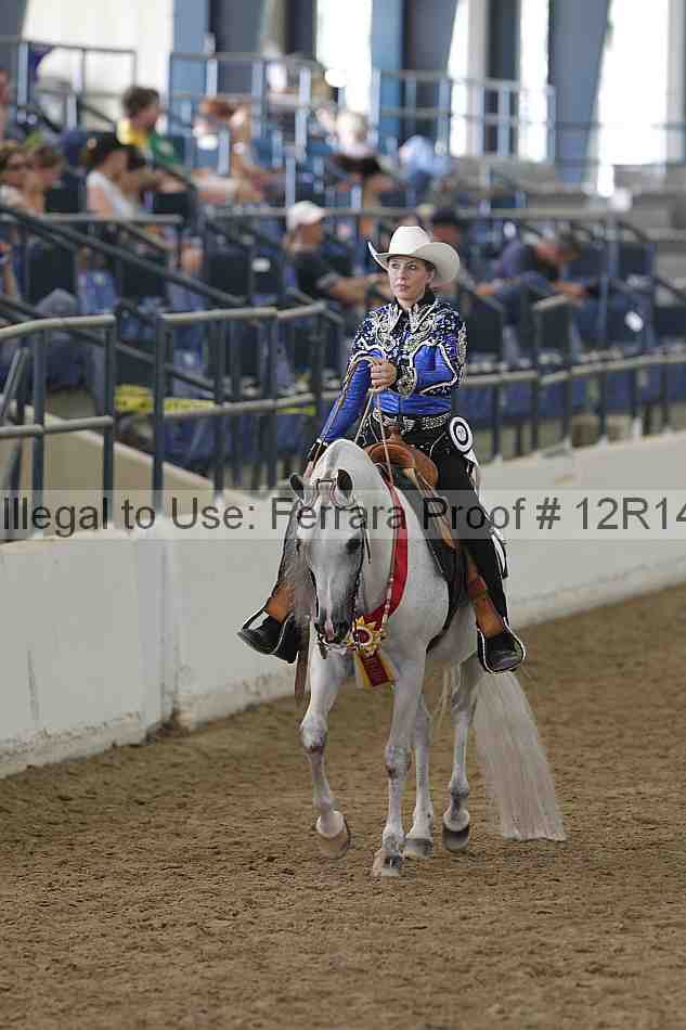 Proof Number 12r14_4306
