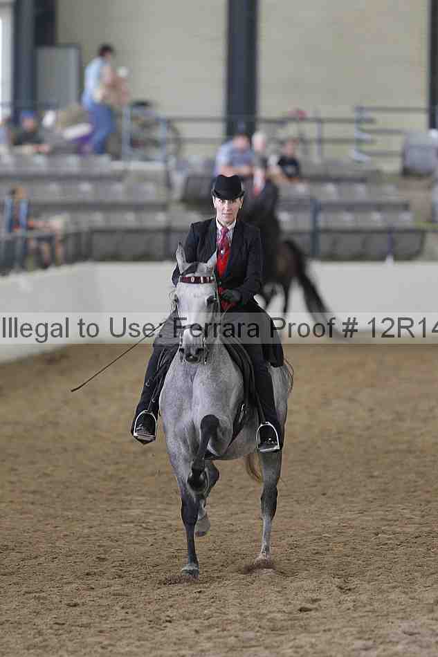 Proof Number 12r14_4339
