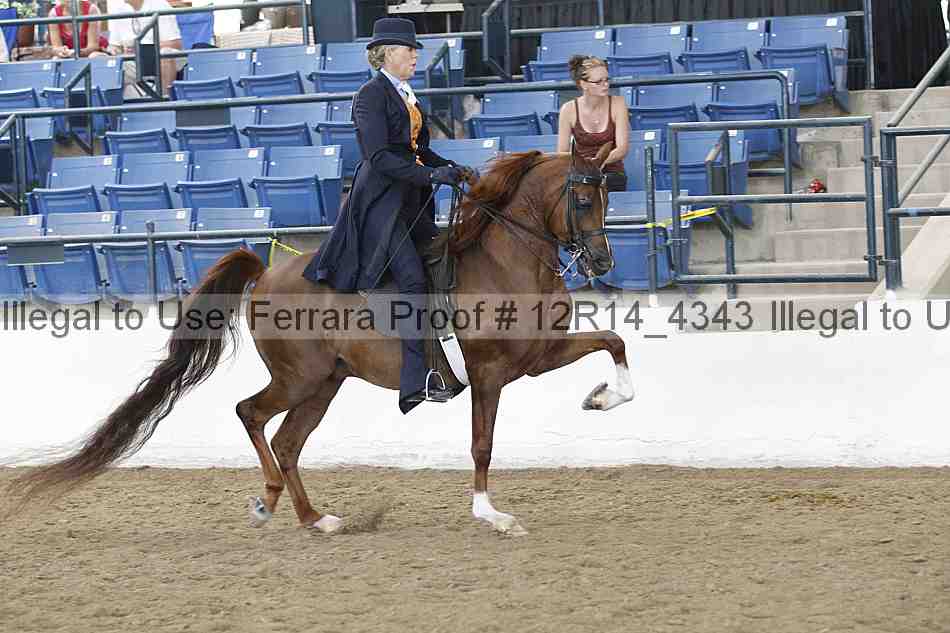 Proof Number 12r14_4343