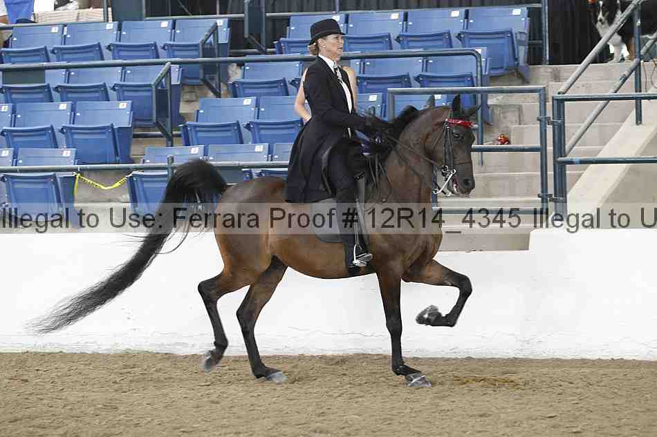 Proof Number 12r14_4345