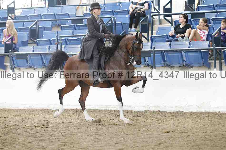 Proof Number 12r14_4347