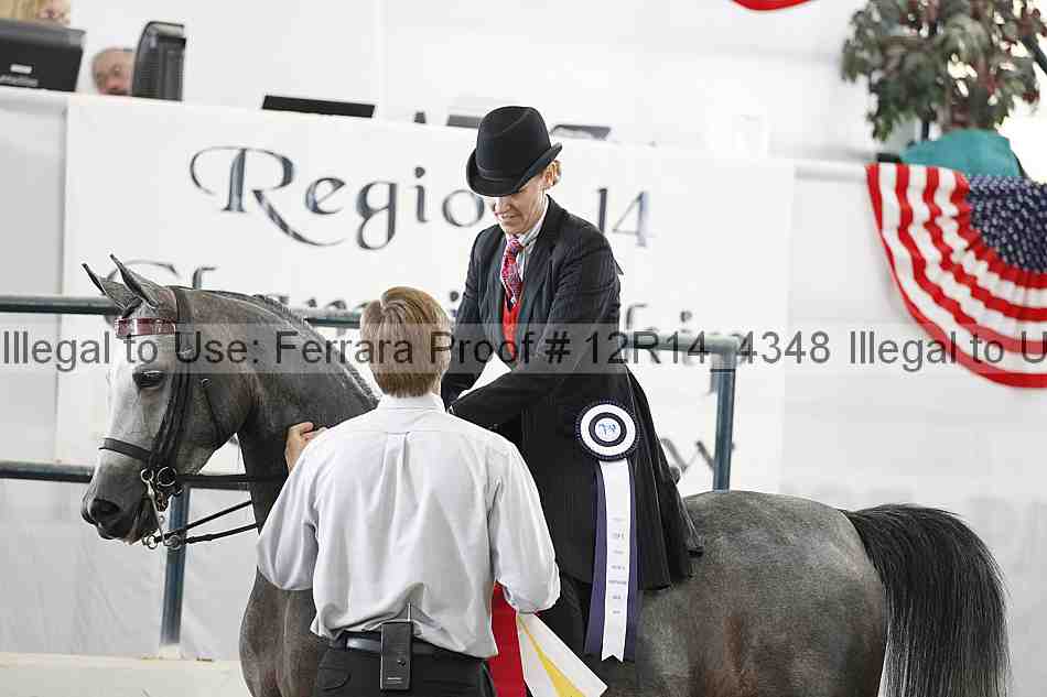 Proof Number 12r14_4348