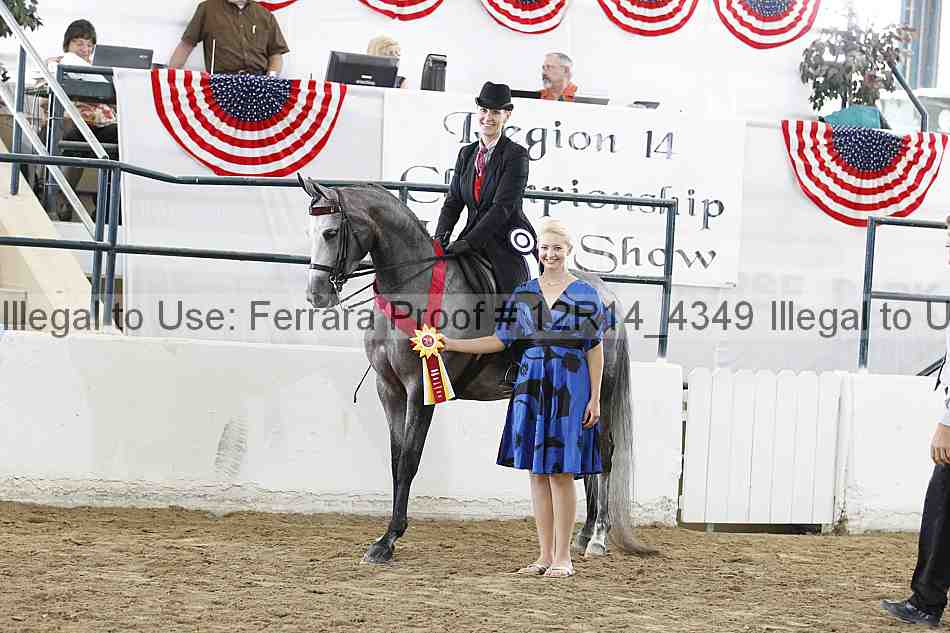 Proof Number 12r14_4349