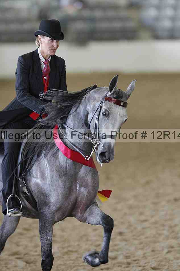 Proof Number 12r14_4351