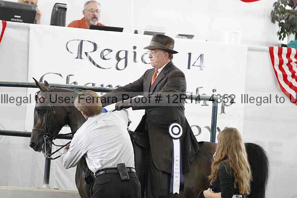 Proof Number 12r14_4352