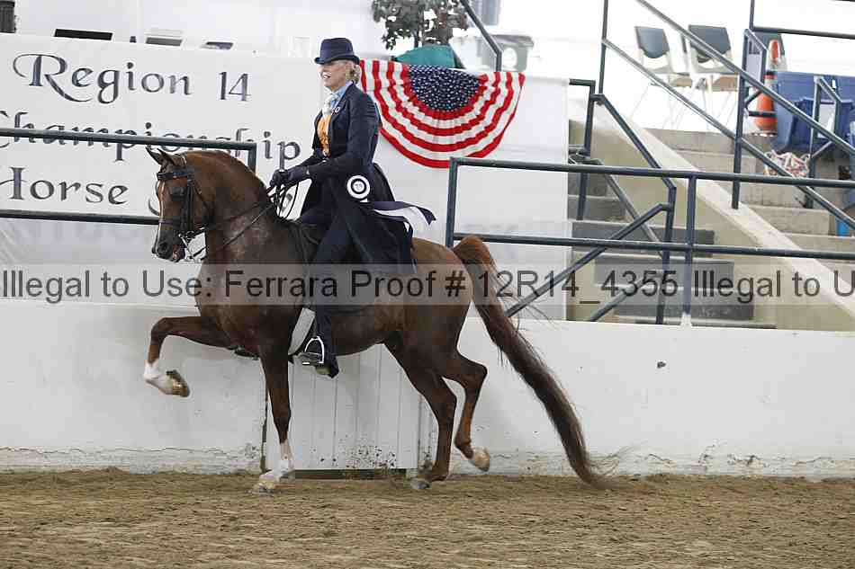 Proof Number 12r14_4355