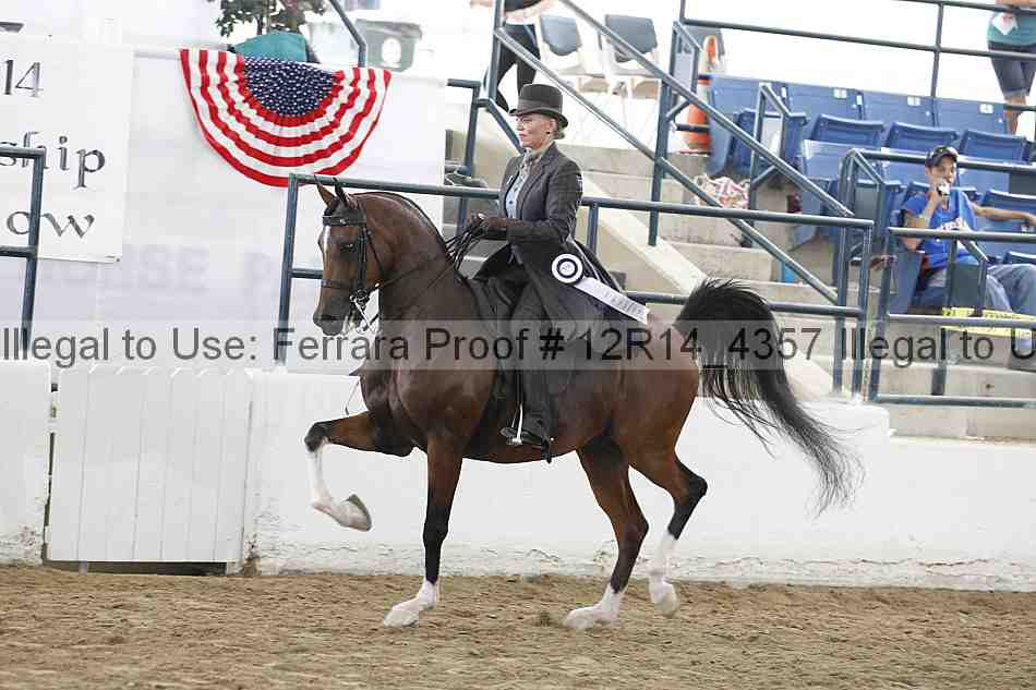 Proof Number 12r14_4357