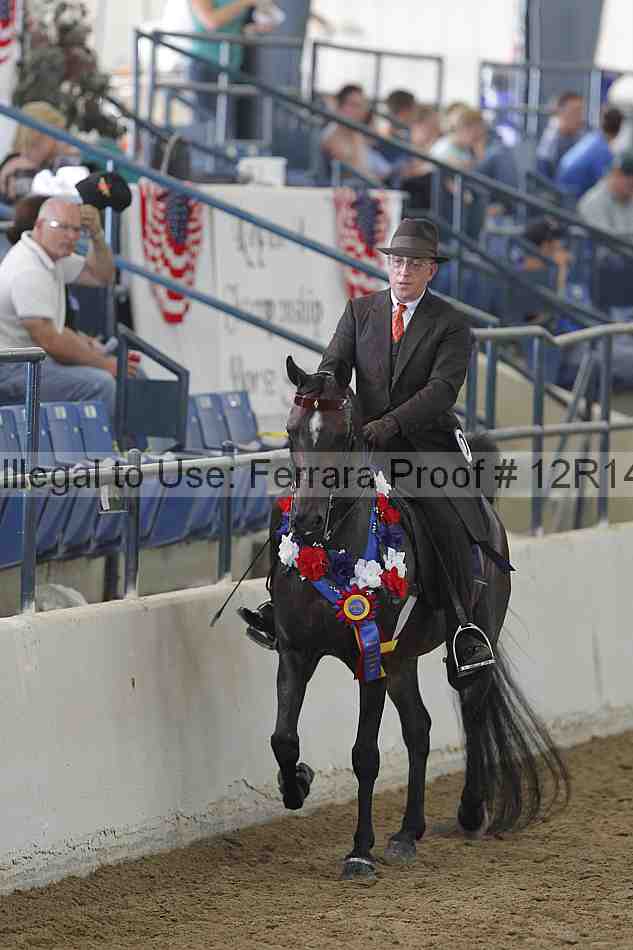 Proof Number 12r14_4358