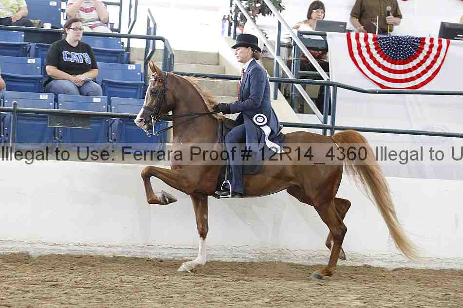 Proof Number 12r14_4360