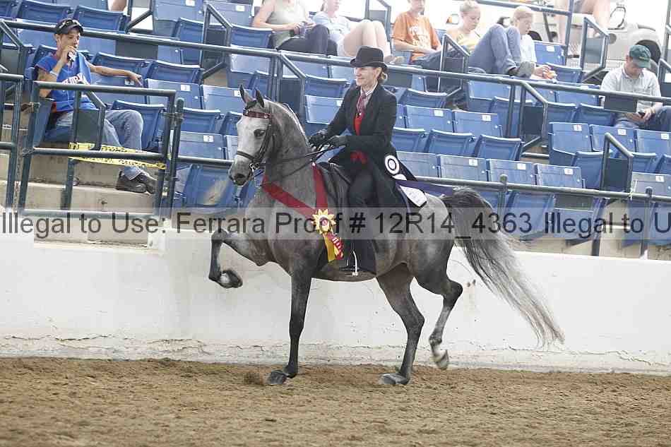 Proof Number 12r14_4363