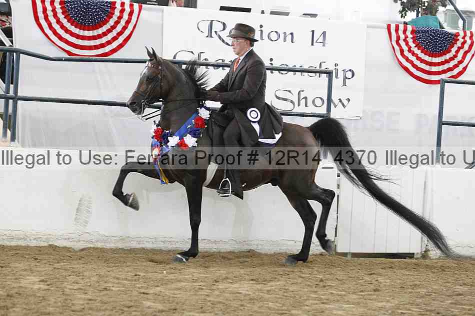 Proof Number 12r14_4370