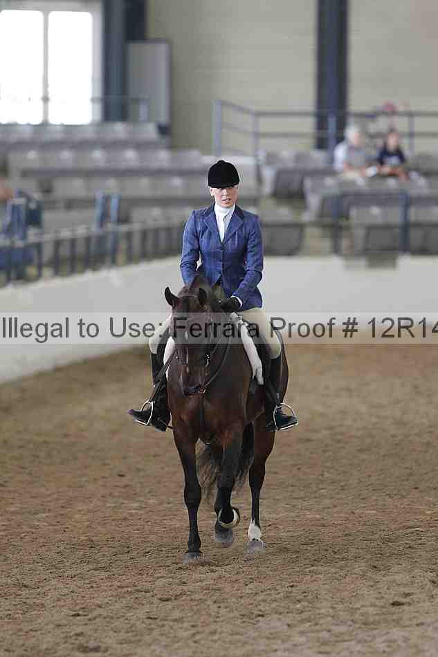 Proof Number 12r14_4394
