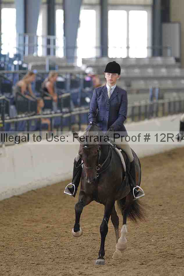 Proof Number 12r14_4408