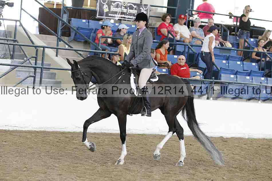 Proof Number 12r14_4411