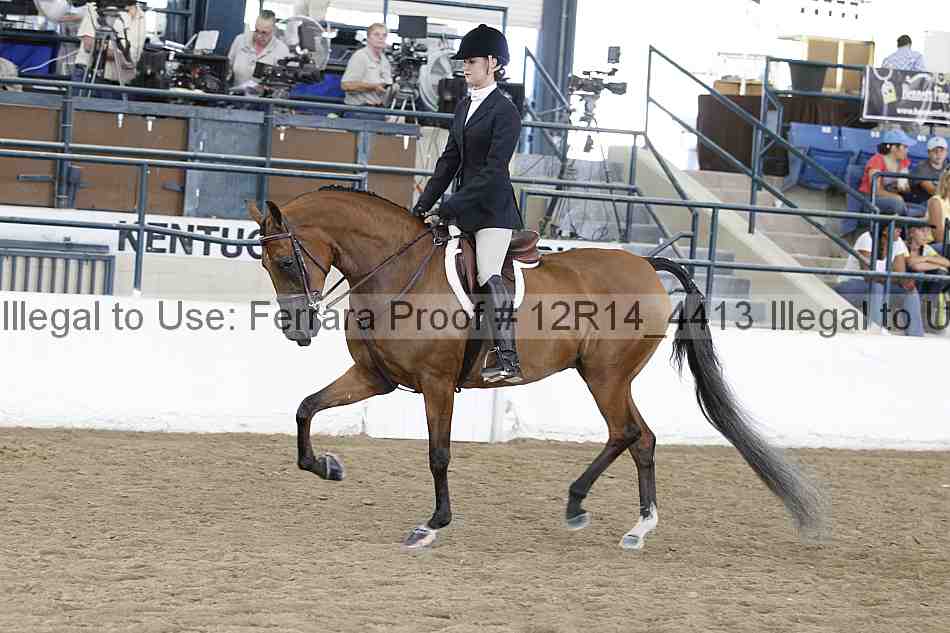 Proof Number 12r14_4413