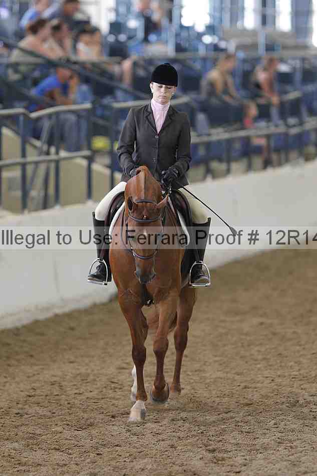 Proof Number 12r14_4419