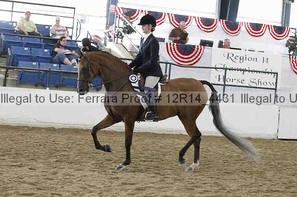 Proof Number 12r14_4431