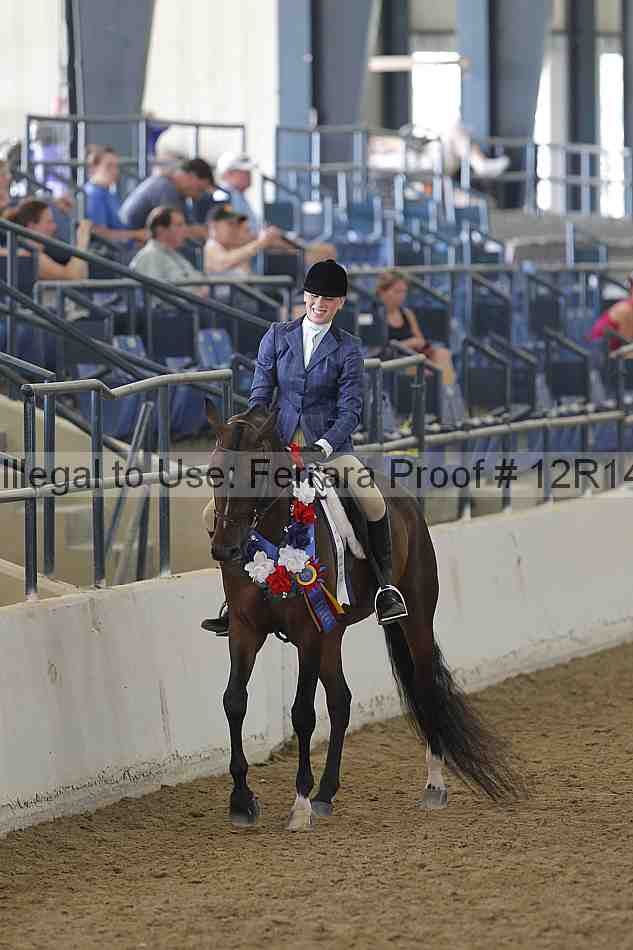 Proof Number 12r14_4433
