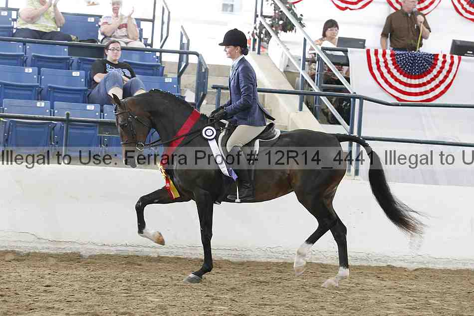 Proof Number 12r14_4441