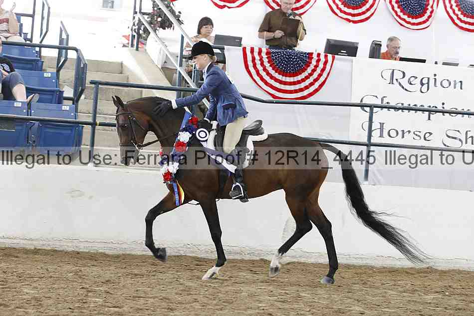 Proof Number 12r14_4445