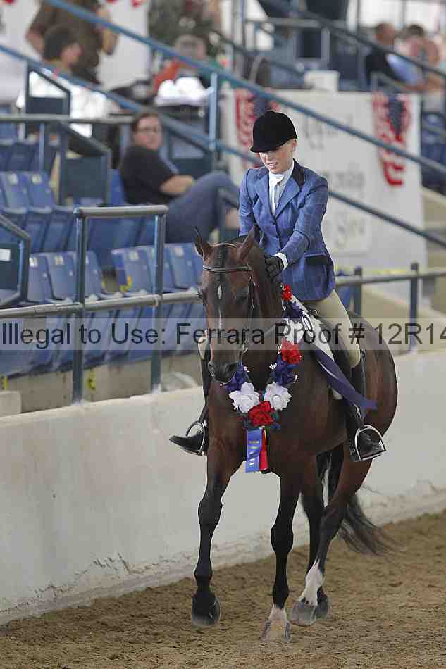 Proof Number 12r14_4450