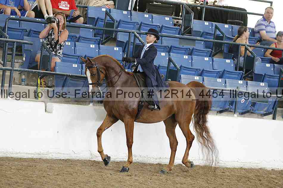 Proof Number 12r14_4454
