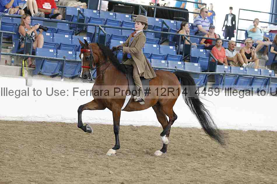 Proof Number 12r14_4459
