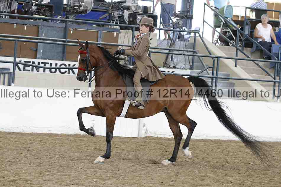 Proof Number 12r14_4460