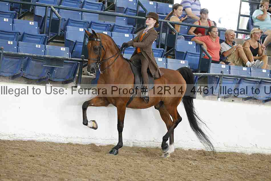 Proof Number 12r14_4461