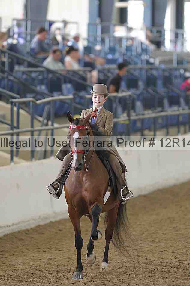 Proof Number 12r14_4475