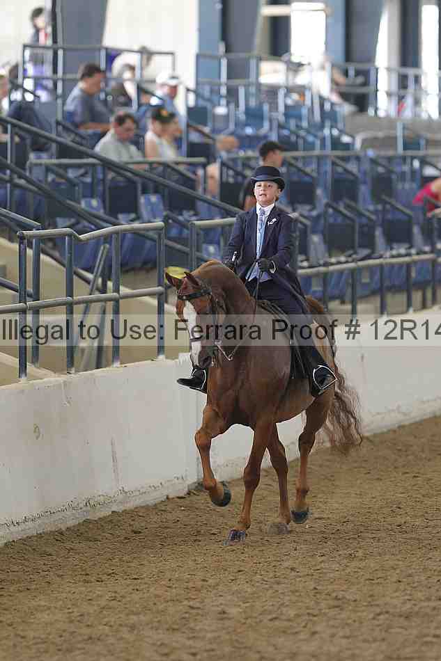 Proof Number 12r14_4478