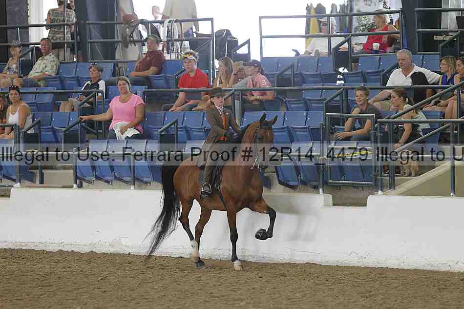Proof Number 12r14_4479