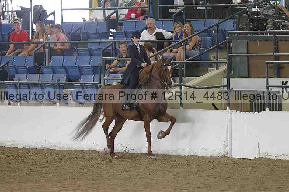 Proof Number 12r14_4483