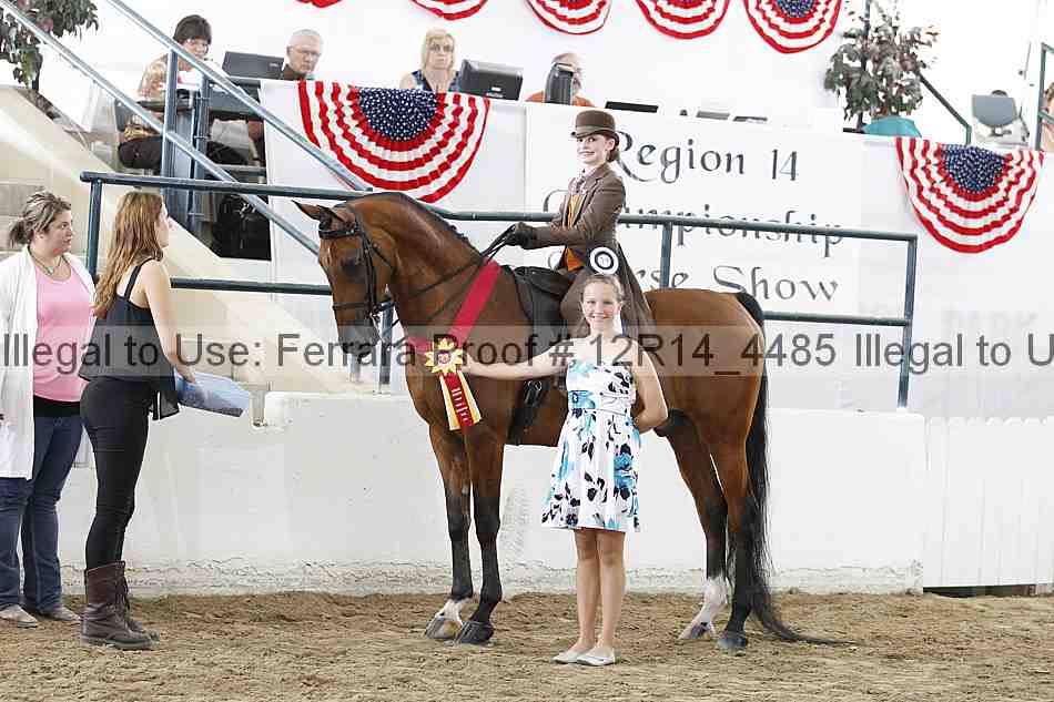 Proof Number 12r14_4485